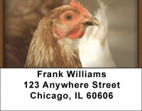 Chickens Address Labels | LBZANI-53