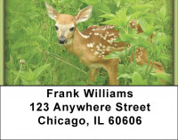 Deer Address Labels | LBZANI-55