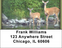 Deer Address Labels | LBZANI-55