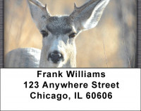 Deer in Four Seasons Address Labels | LBZANI-59