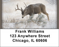 Deer in Winter Address Labels