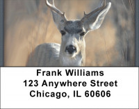 Deer in Winter Address Labels | LBZANI-60