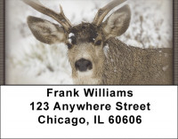 Winter Wonderland with Deer | LBZANI-61