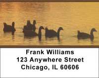 Ducks on a Golden Pond Address Labels | LBZANI-65