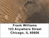 Elephants Up Close and Personal Address Labels | LBZANI-69