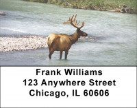Elk Racks Address Labels | LBZANI-71