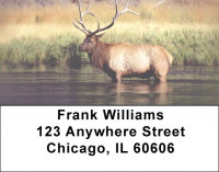 Elk Racks Address Labels | LBZANI-71