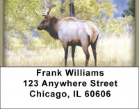 Elk in the High Country Address Labels | LBZANI-72