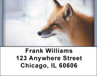 Sly as a Fox Address Labels | LBZANI-75