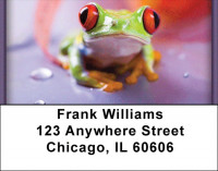 Eyes of the Frog Address Labels | LBZANI-77