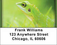 Geckos Address Labels | LBZANI-78