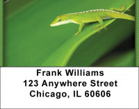Geckos Address Labels | LBZANI-78