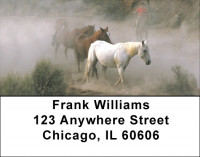 Wild Horse Roundup Address Labels | LBZANI-81
