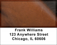 Horses Up Close and Personal Address Labels | LBZANI-83