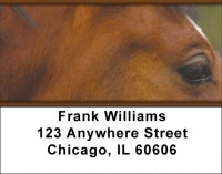 Horses Seeing Eye to Eye Address Labels | LBZANI-85