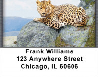 Can't Change His Spots Address Labels | LBZANI-93