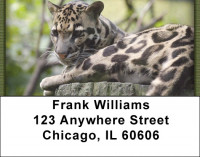 Can't Change His Spots Address Labels | LBZANI-93
