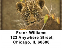 Spot On Address Labels | LBZANI-94