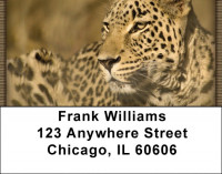Spot On Address Labels | LBZANI-94