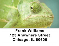 Lively Lizards Address Labels | LBZANI-98