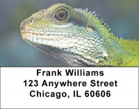 Lively Lizards Address Labels | LBZANI-98