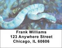 Slithering Serpents Address Labels | LBZANJ-04
