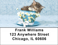 Flowers & Cats Address Labels | LBZANJ-11