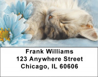 Flowers & Cats Address Labels | LBZANJ-11