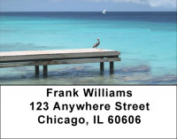 Beach Birds Address Labels | LBZANJ-15