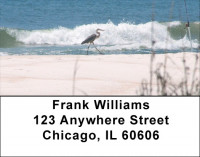 Beach Birds Address Labels | LBZANJ-15