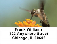Out For A Spin Address Labels