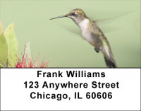 Out For A Spin Address Labels | LBZANJ-16