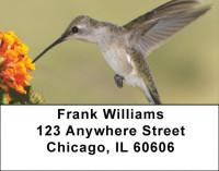 Out For A Spin Address Labels | LBZANJ-16