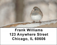 Sparrow In Winter Address Labels