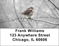 Sparrow In Winter Address Labels | LBZANJ-18