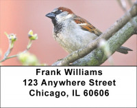 Sparrow Inspirations Address Labels | LBZANJ-19