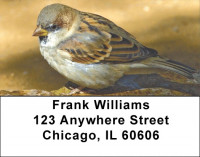 Sparrow Simplicity Address Labels | LBZANJ-20