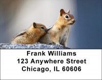 Baby Chipmunk With Mother Address Labels | LBZANJ-25