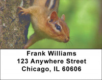 Chipmunks Everywhere Address Labels | LBZANJ-27