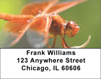 Dragonfly Maneuvers Address Labels