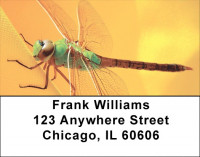 Dragonfly Maneuvers Address Labels | LBZANJ-32