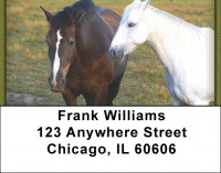 Horses Address Labels | LBZANJ-33