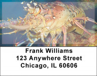 Lobsters In Ocean Bottom Address Labels | LBZANJ-40