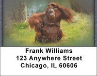 Orangutan Address Labels | LBZANJ-42