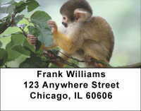 Monkey Business Address Labels | LBZANJ-43