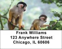 Monkey Business Address Labels | LBZANJ-43
