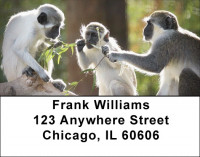 Monkey Business Address Labels | LBZANJ-43