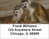 Monkey Business Address Labels | LBZANJ-43