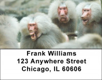 Monkey Days Address Labels | LBZANJ-44