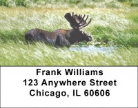Moose Address Labels | LBZANJ-48